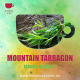 PUER MOUNTAIN TARRAGON - TARHON DE MUNTE 100g