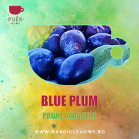 PUER BLUE PLUM - PRUNE ALBASTRE 100g